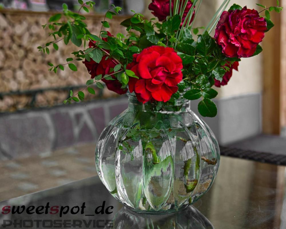 Blumenhof 3*